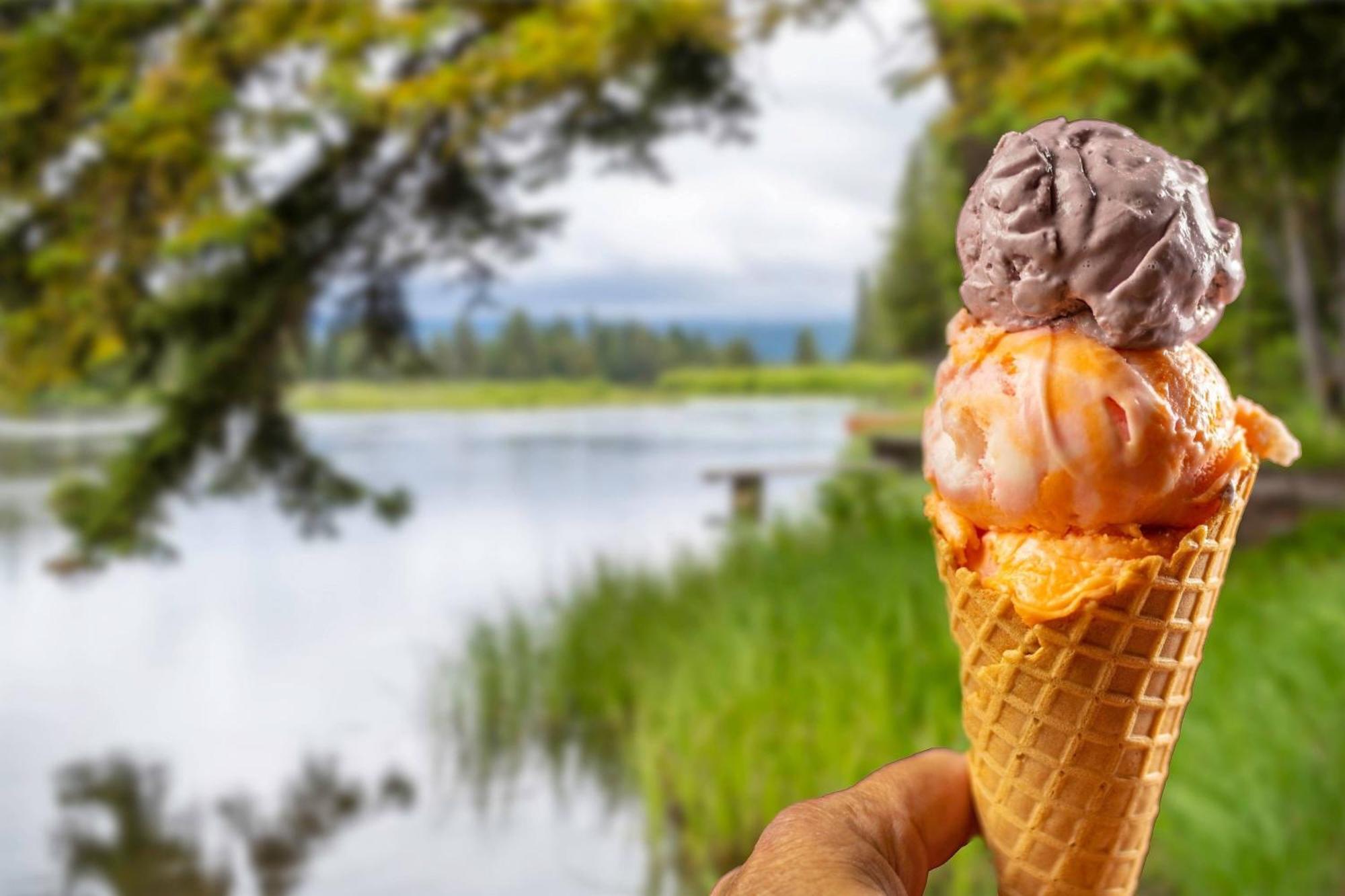 Springhill Suites Island Park Yellowstone Kültér fotó
